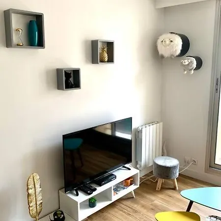 Appartement Rues Pietonnes 40m Halles - Gd Studio - Plage 100m